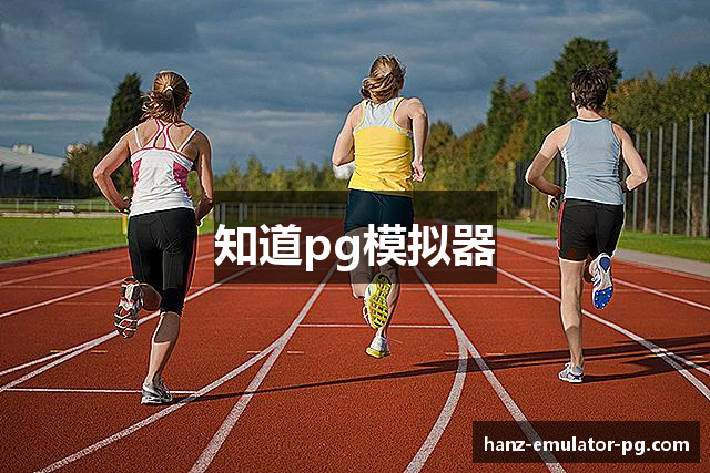 知道pg模拟器